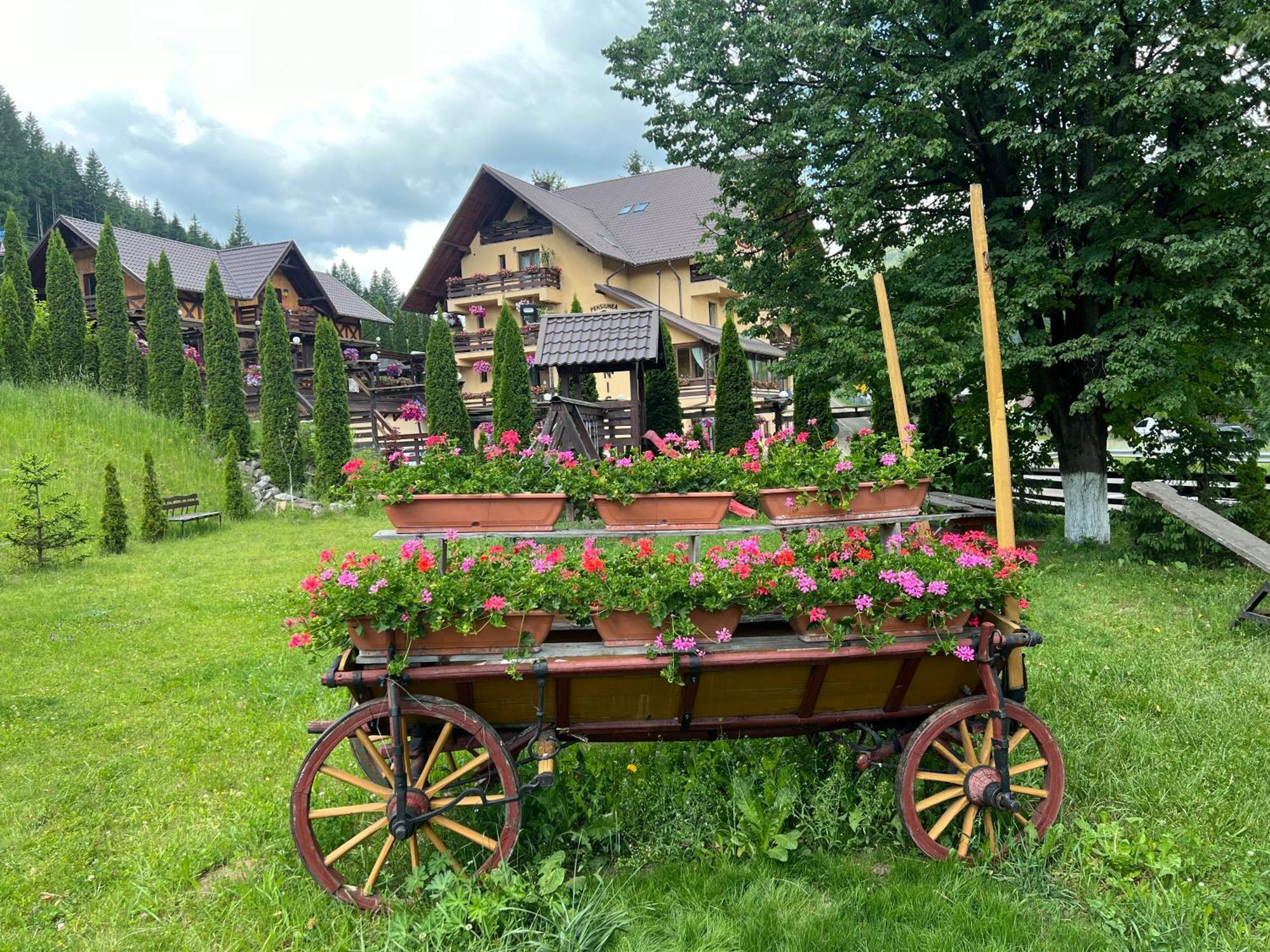 Pensiunea Vranis Sadova  Esterno foto